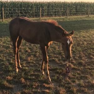 Meet your Posher, Kassie